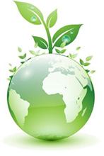 JW Auto Care Green Earth